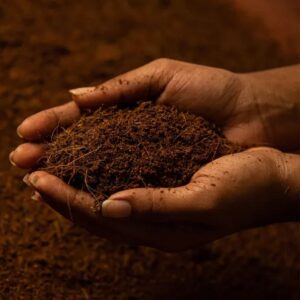 Cocopeat 1 Kg