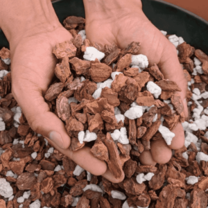 Orchid Potting Mix 1 Kg