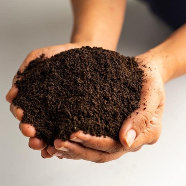 Vermicompost 1 Kg