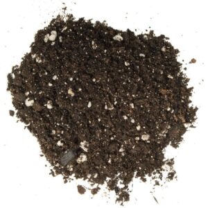 Potting Mix 1 Kg