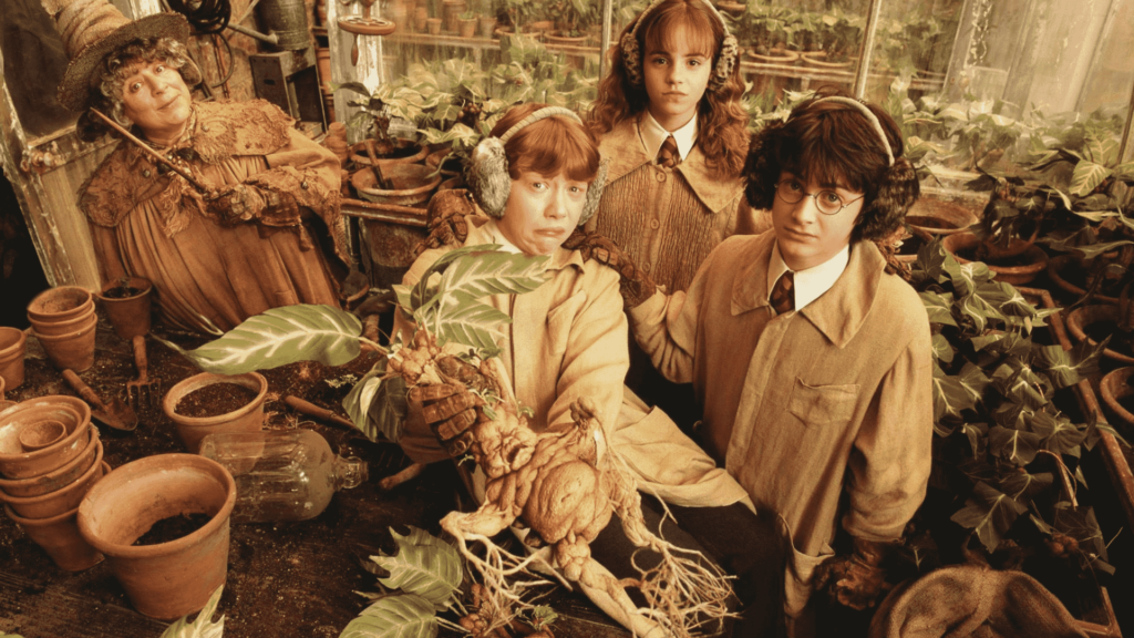 Herbology 101, 5 Magical Plants from the World of Harry Potter