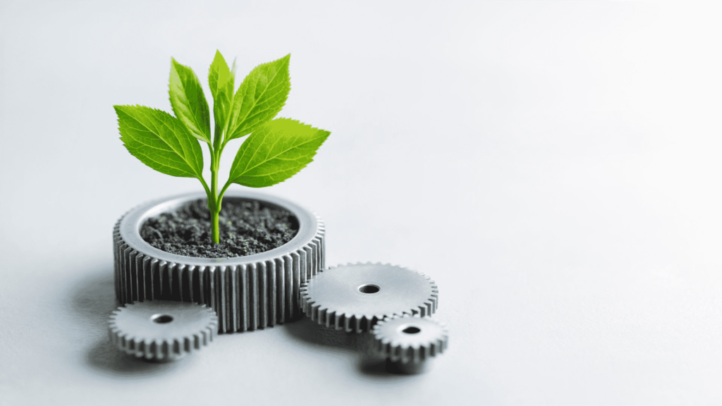 Corporate Plant Gifting Trends for 2024