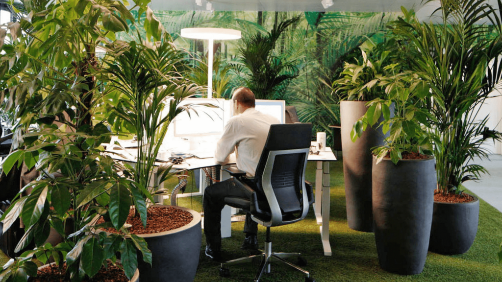 Creating a Home Office Enhanced by Indoor Plants