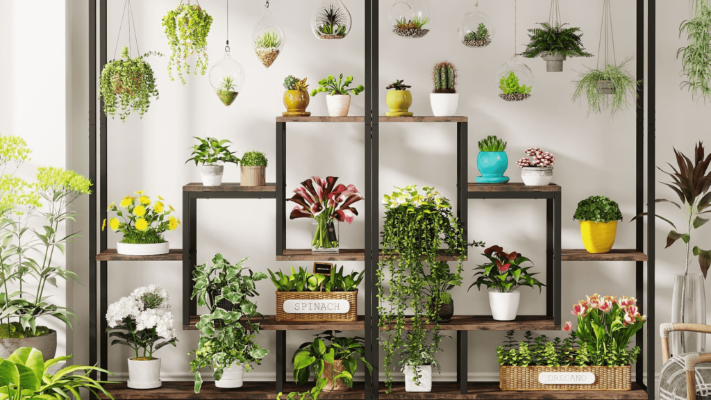 Creative Ideas for Styling Indoor Plant Shelves in 2024