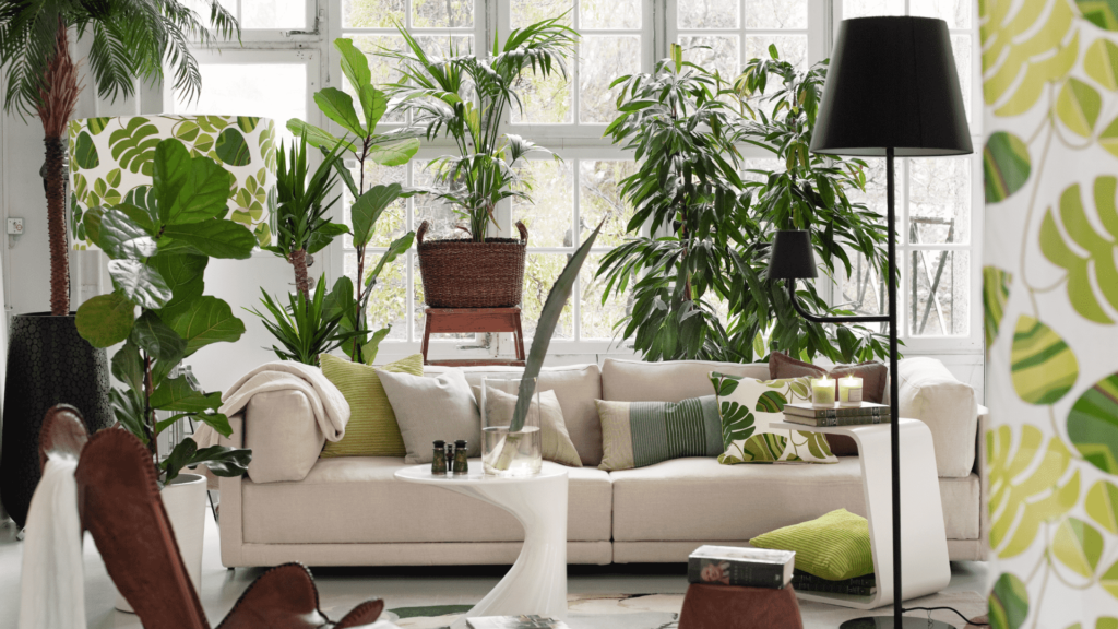 Tips for Designing a Calm Break Room with Indoor Plants