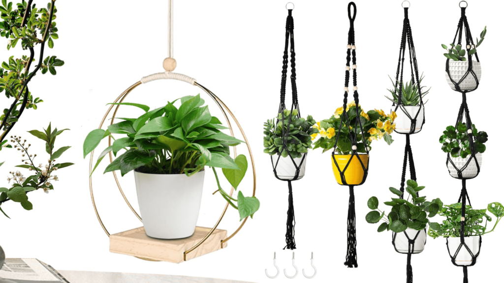 Top 10 Low-Maintenance Outdoor Hanging Plants in India