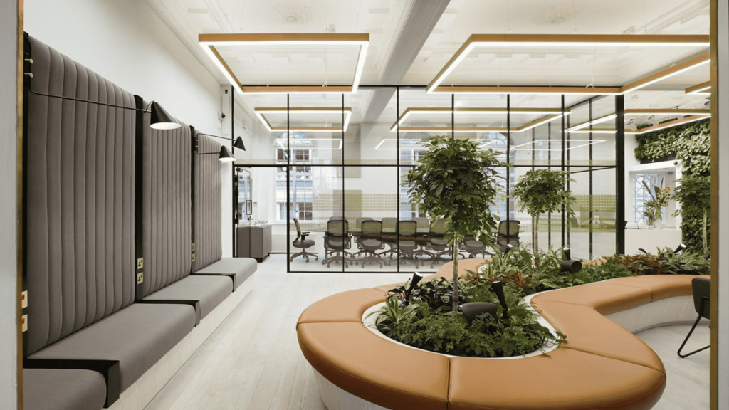 Top Plants for Enhancing Office Lobbies and Reception Areas