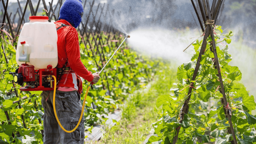 Potent Pesticides to Protect Your Plants