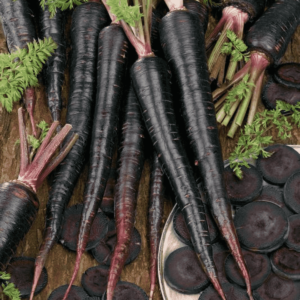 Carrot Black Wonder Seeds