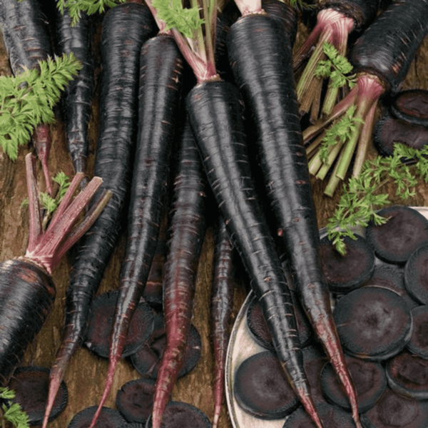 Carrot Black Wonder Seeds