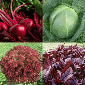 Winter Season Vegetable Seeds Combo 2