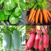 Winter Season Vegetable Seeds Combo 3