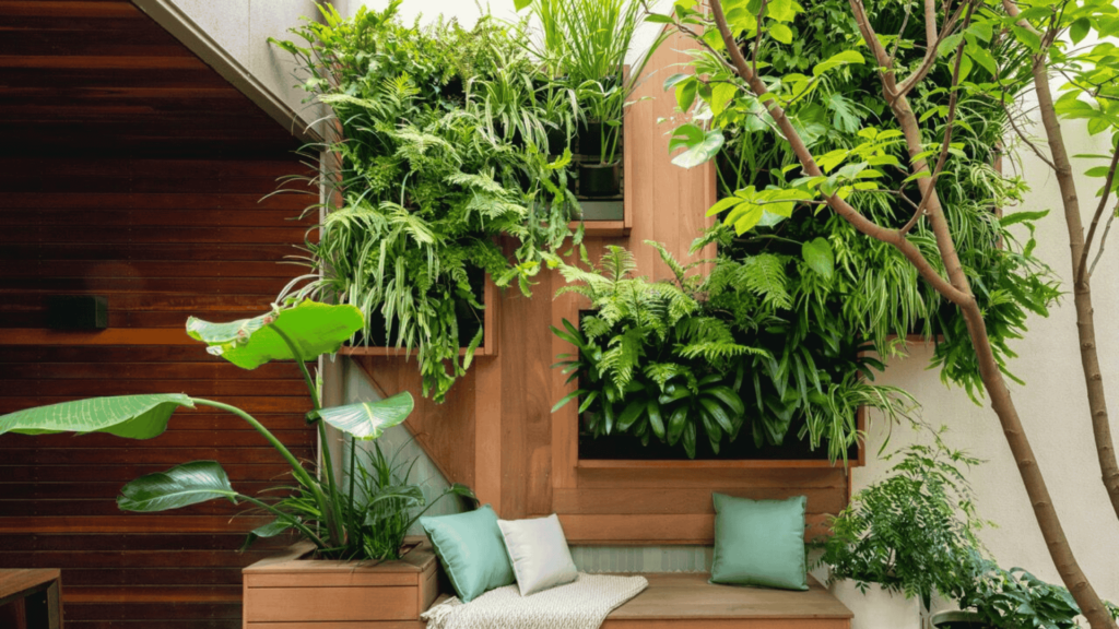 Low maintenance outdoor plants in India